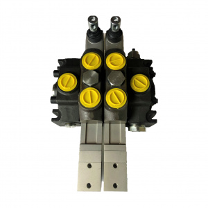 Гидрораспределитель секционный SMK DCV200/2P2.G1.R.GL