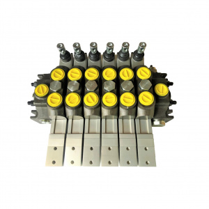 Гидрораспределитель секционный SMK DCV200/6P6.G1.R.GL