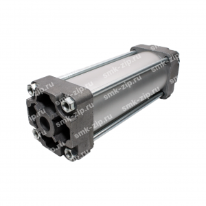 Пневмоцилиндр 234-557 300